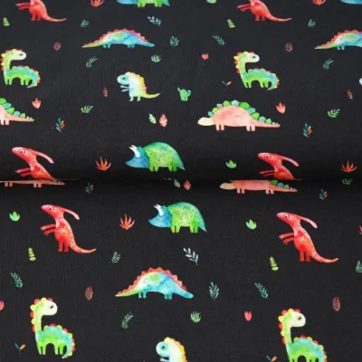 Stenzo Jersey Stoffe Süße Dinos Dinosaurier Roar anthrazit
