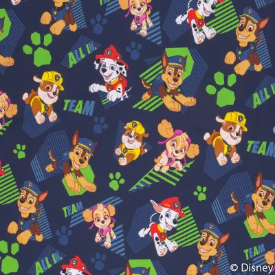 Jersey Stoffe Paw Patrol Dunkelblau grün Team