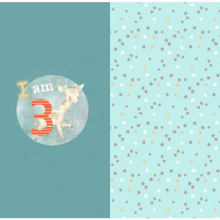 Jersey Stoffe Kindermotive Jersey Panel Geburtstag Zahlen 3