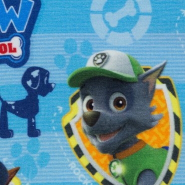 079562_pawpatrol_106842_10.jpg_1