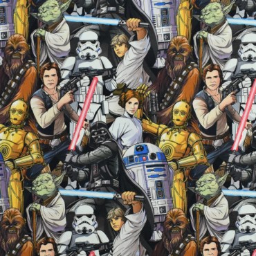 Jersey Stoffe Star Wars R2D2 C3PO Darth Vader Luke Skywalker Chewbacca Yoda 0,20m