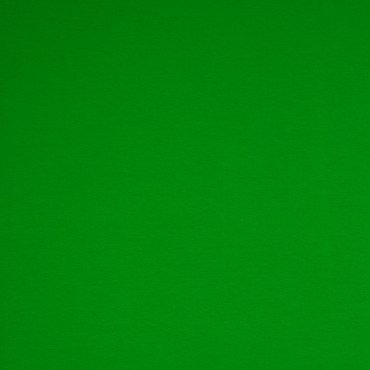 jersey_stoff_stoffe_uni_gruen_2.jpg_1