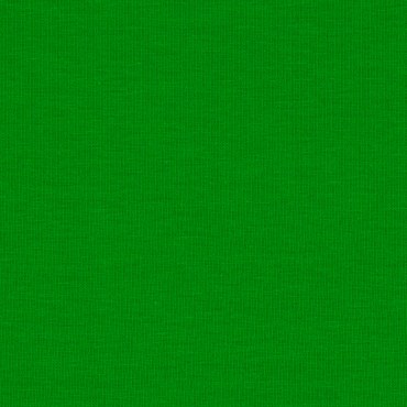 jersey_stoff_stoffe_uni_gruen_3.jpg_1