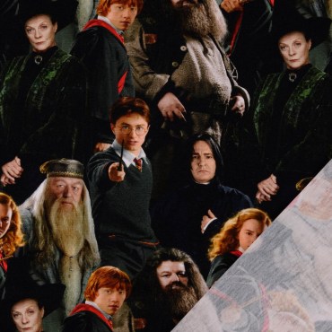 jersey_stoffe_harry_potter_Dumbledore_Hagrid_schwarz_3.jpg_1