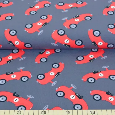 Sonderaktion Jersey Stoffe Autos  Boby Caro grau